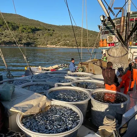 Διαμέρισμα Eva Kali