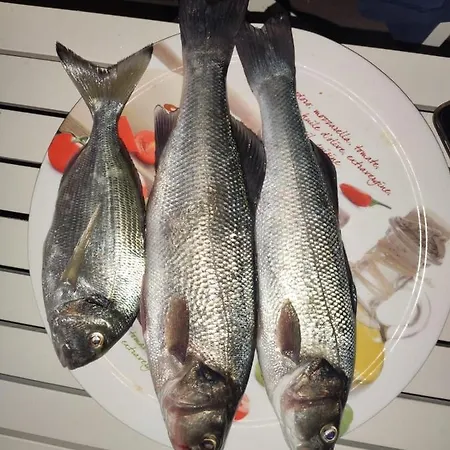 Διαμέρισμα Eva Kali