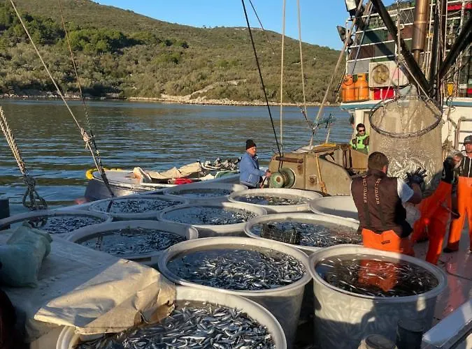 アパート Eva カリ