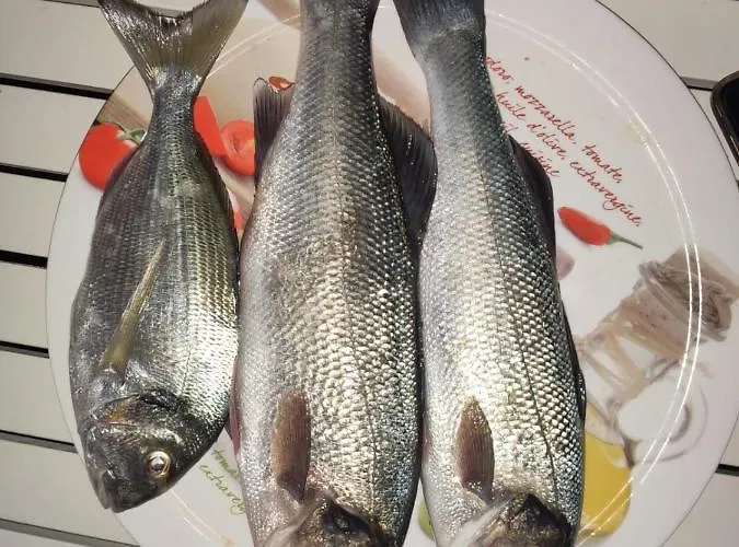 Appartement Eva Kali